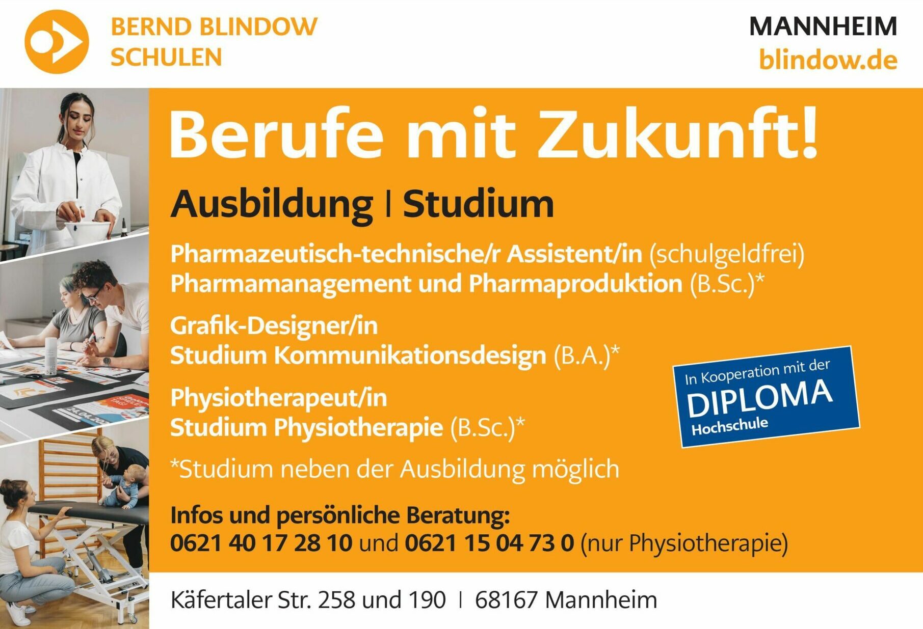 steckbrief-blindow (1)